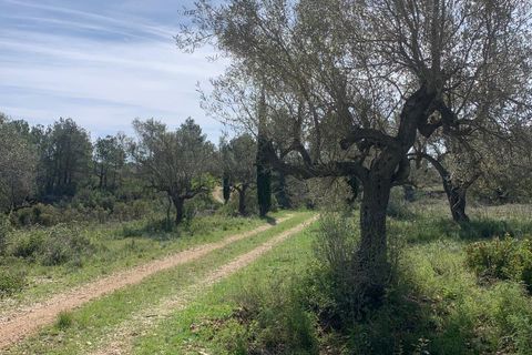 Landejendom i Tortosa, Tarragona, Tortosa - € 139.000 | Ref: Tor9079fra - foto 33